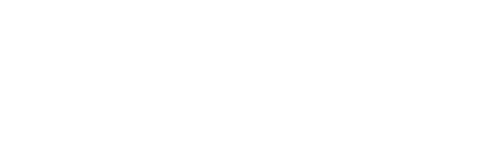 ANS Logo